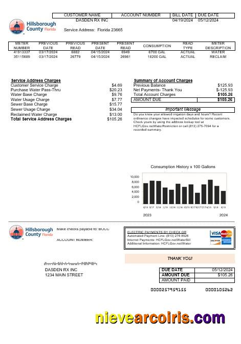 USA Hillsborough County business utility bill